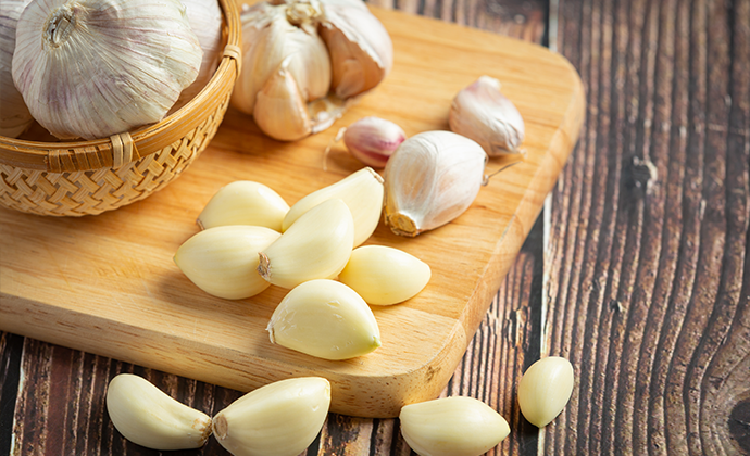 Sustainable Garlic Farming Investment