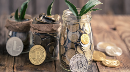  The Art of Collecting Coins: A Digital and Physical Investment Opportunity
